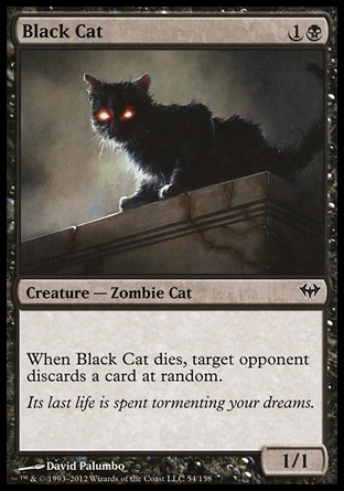 Black Cat фото цена описание