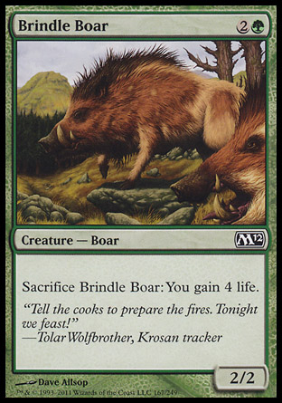 Brindle Boar фото цена описание