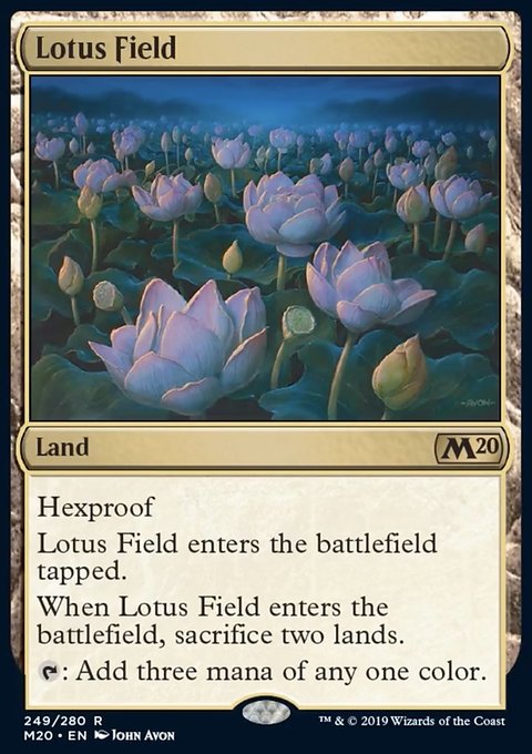 Lotus Field фото цена описание