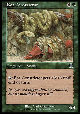 Boa Constrictor фото цена описание
